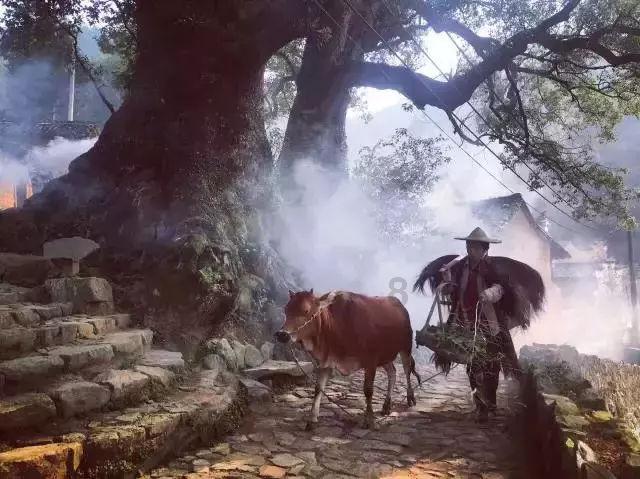 鸭浆膜炎用什么药管用？游戏画面